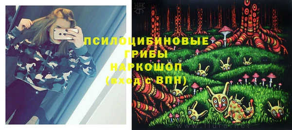 spice Гусиноозёрск