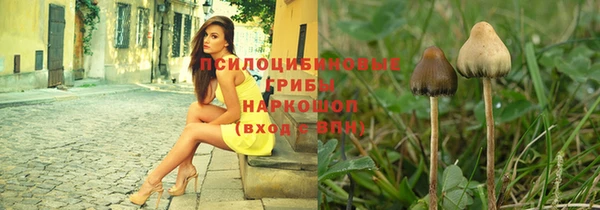 крисы Гусь-Хрустальный