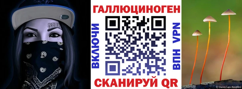 Псилоцибиновые грибы Psilocybe  Купить  Янаул 